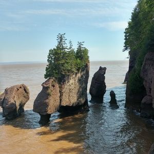 Meet your Posher, Paula